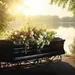 Funerare Bucuresti,